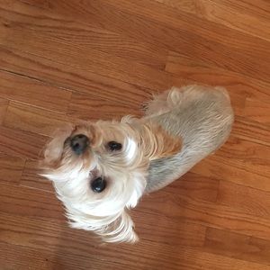 Meet your Posher, Monica